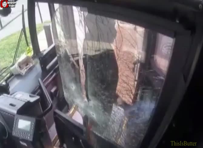 Video :A bus driver and a passenger share pictures